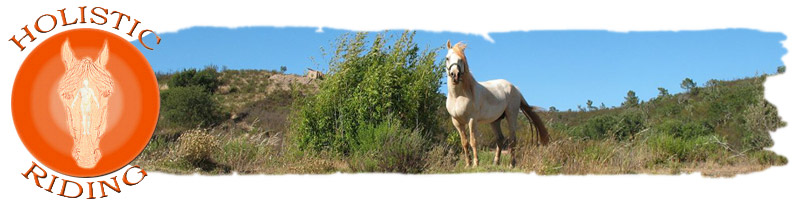 Home Image Home Image