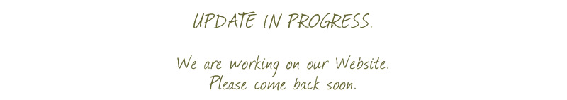 Update in Progress!